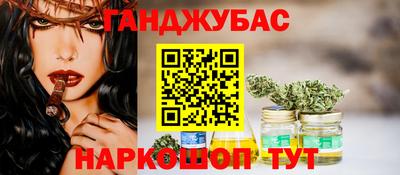 индика Тверь