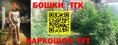 МДПВ Татарск