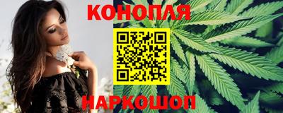 индика Тверь